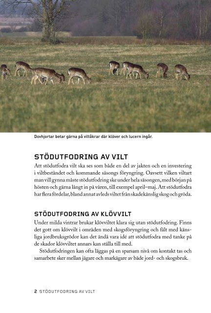 Stödutfodring av vilt - Svenska Jägareförbundet