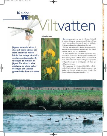Tema viltvatten - Svenska Jägareförbundet