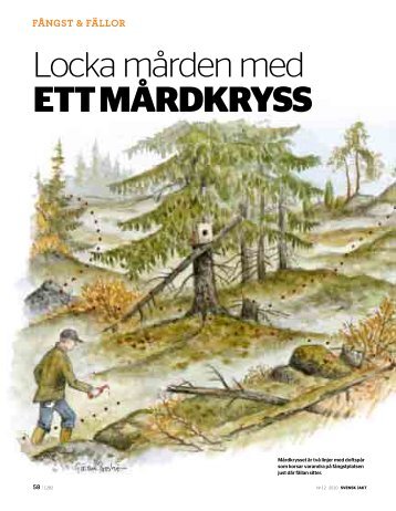 Ladda hem Svensk Jakts reportage (pdf)