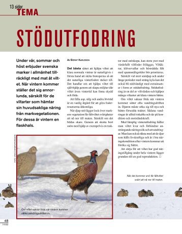Stödutfodring