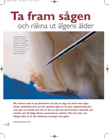 Åldersbestämning på älgtänder