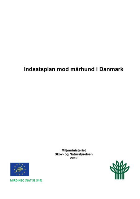 Indsatsplan mod mårhund i Danmark