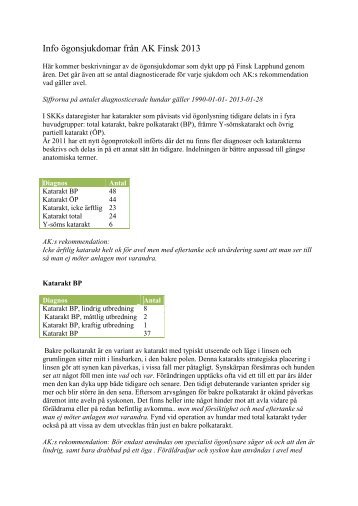 Info ögonsjukdomar från AK Finsk 2013