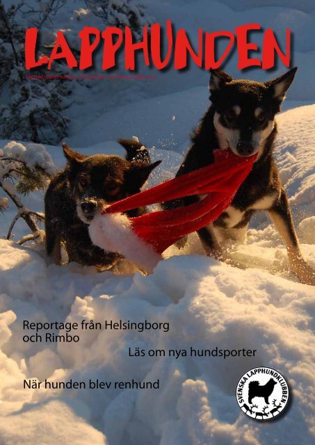 Nr 4/2010 - Svenska Lapphundklubben