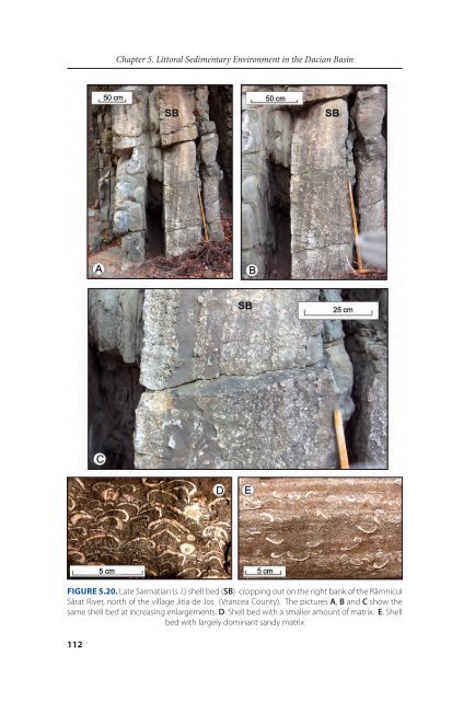 DACIAN BASIN - GeoEcoMar