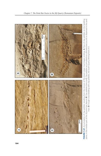 DACIAN BASIN - GeoEcoMar