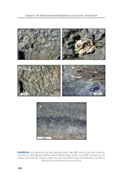 DACIAN BASIN - GeoEcoMar