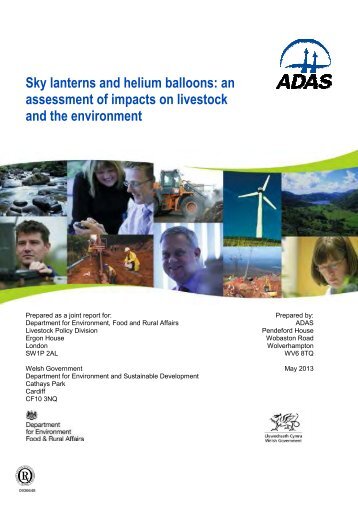 Sky lanterns and helium balloons - Senedd.assemblywales.org