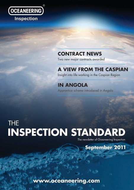 INSPECTION STANDARD - Oceaneering