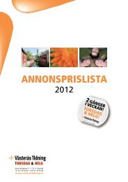 ANNONSPRISLISTA - Annan DirektPress-tidning