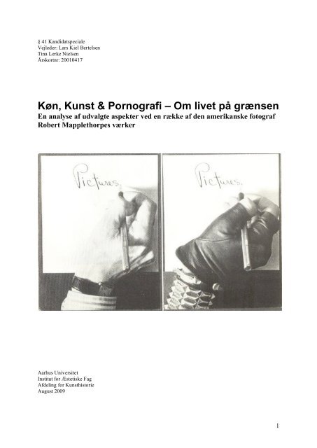 Køn, Kunst & Pornografi – Om livet på grænsen - Aarhus Universitet