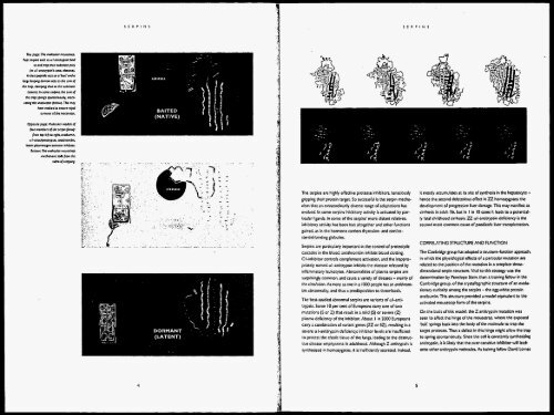 The structure and function of serpins