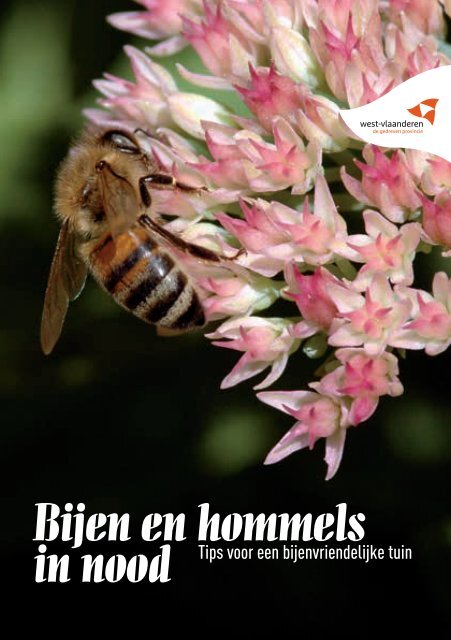 brochure - Provincie West-Vlaanderen