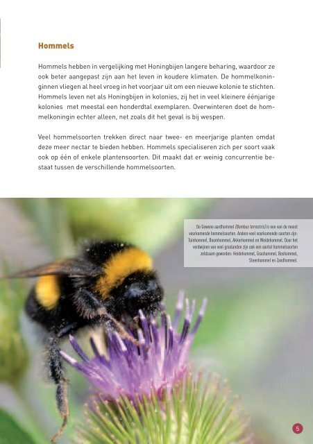 brochure - Provincie West-Vlaanderen