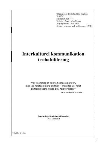 Interkulturel kommunikation i rehabilitering - Ergoterapeutforeningen