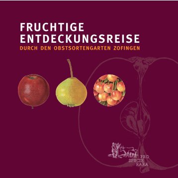 Entdeckungsreise (PDF) - Zofingen