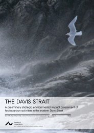The Davis Strait - DCE - Nationalt Center for Miljø og Energi