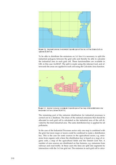 Report - DCE - Nationalt Center for Miljø og Energi