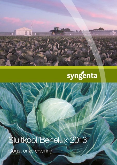 Sluitkool Benelux 2013 - Syngenta