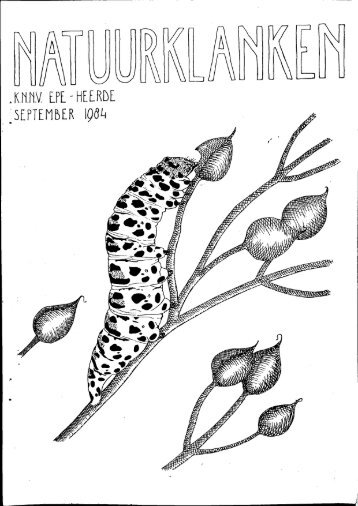 NK 1984 4.pdf - KNNV Vereniging voor Veldbiologie