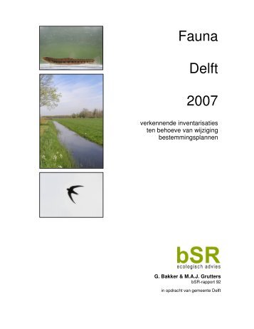 Fauna Delft 2007