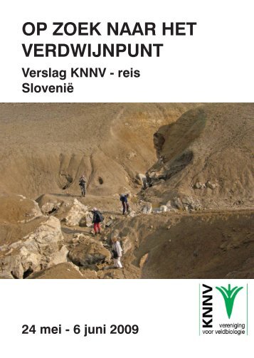 Verslag - Knnv