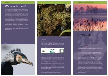 De Wieden