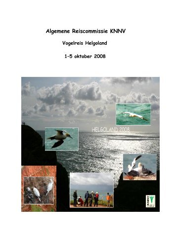Verslag