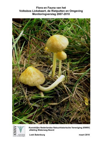 Flora en Fauna van het Volksbos Lickebaert, de Rietputten ... - Knnv