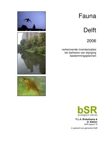 Delft 2006b