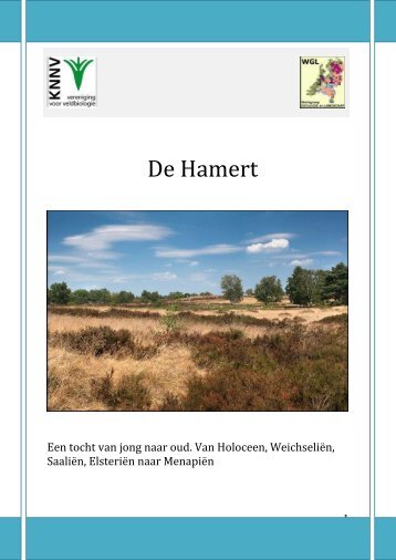 De Hamert - 20 oktober 2012.pdf