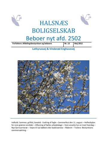 03 Beboer Nyt nr 13 maj 2012 - Domea