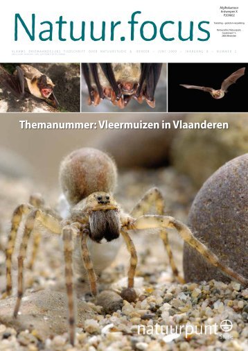 Themanummer: Vleermuizen in Vlaanderen - Natuurpunt