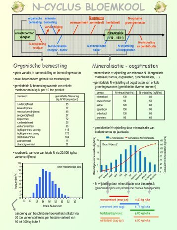 N–CYCLUS BLOEMKOOL - Bodemkundige Dienst van België vzw