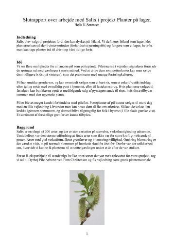 Rapport over arbejde med Salix i projekt Planter p lager