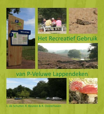 van P-Veluwe Lappendeken Het Recreatief Gebruik - Raoul Beunen