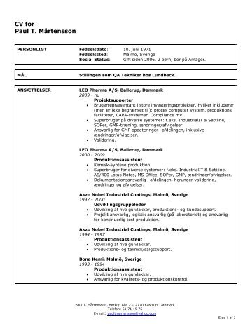 Professional CV Letter Template