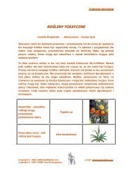 Rośliny toksyczne - Medirabbit