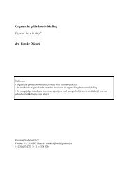 Dijkwel Renske _ Paper.pdf - PlanDag