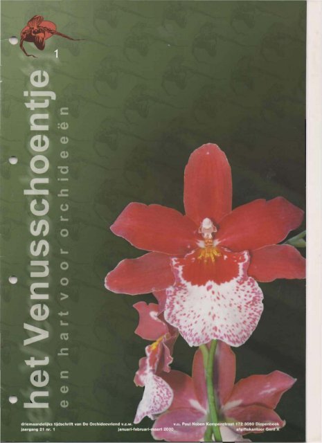 2000 - 1 - Orchideeën Vereniging Vlaanderen