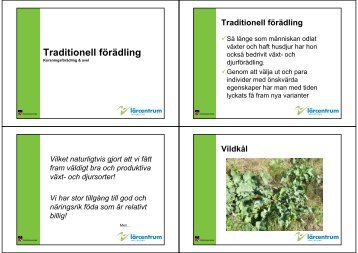 Traditionell förädling