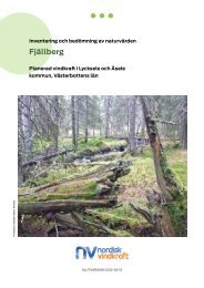 Naturvärdesinventering - Delområde Fjällberg - Nordisk Vindkraft