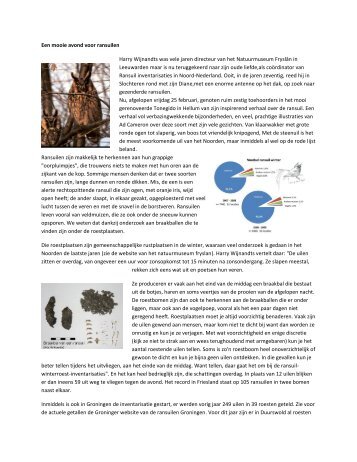 Een mooie avond voor ransuilen pdf