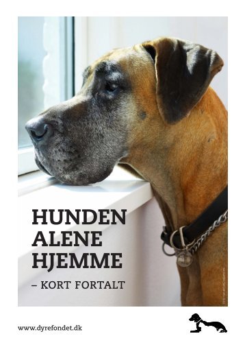 HUNDEN ALENE HJEMME - Dyrefondet