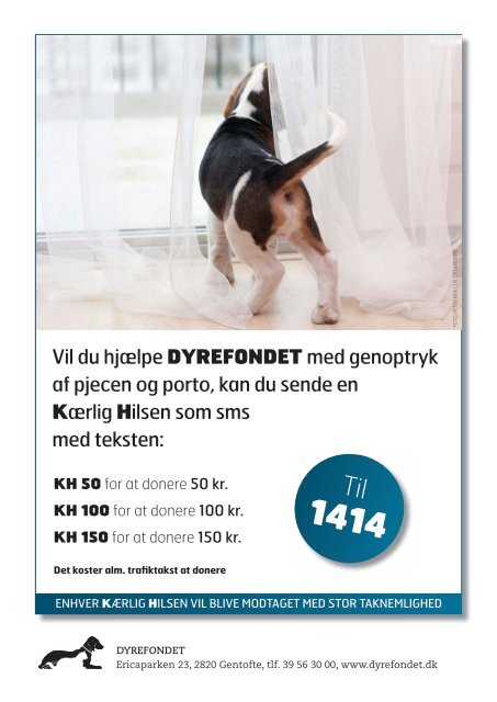 HUNDEN ALENE HJEMME - Dyrefondet