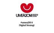 Digital strategi för Umeå2014 (PDF)