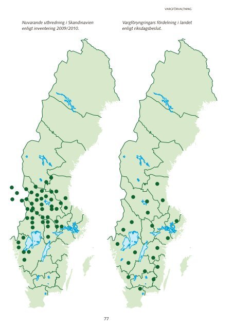 Sten Bergh Karl Hedin Anders Runnérus Varg och ... - Vargboken