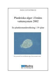 Plankton 2002 - Emån