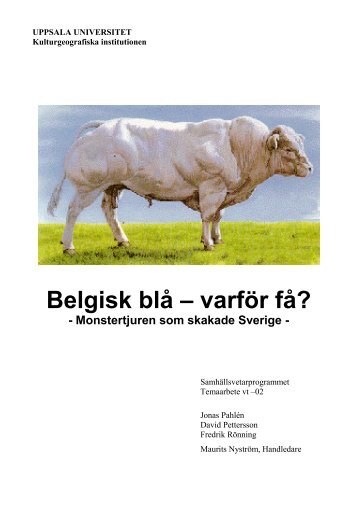 Belgisk blå – varför få? - S-info