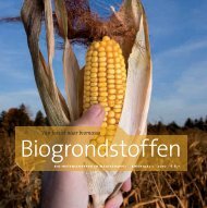 Biogrondstoffen - Biomaatschappij